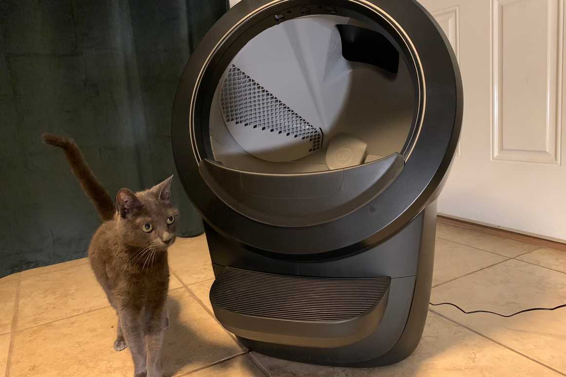 Litter robot 4 review